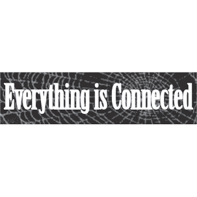 Everything Connected Bumper Sticker